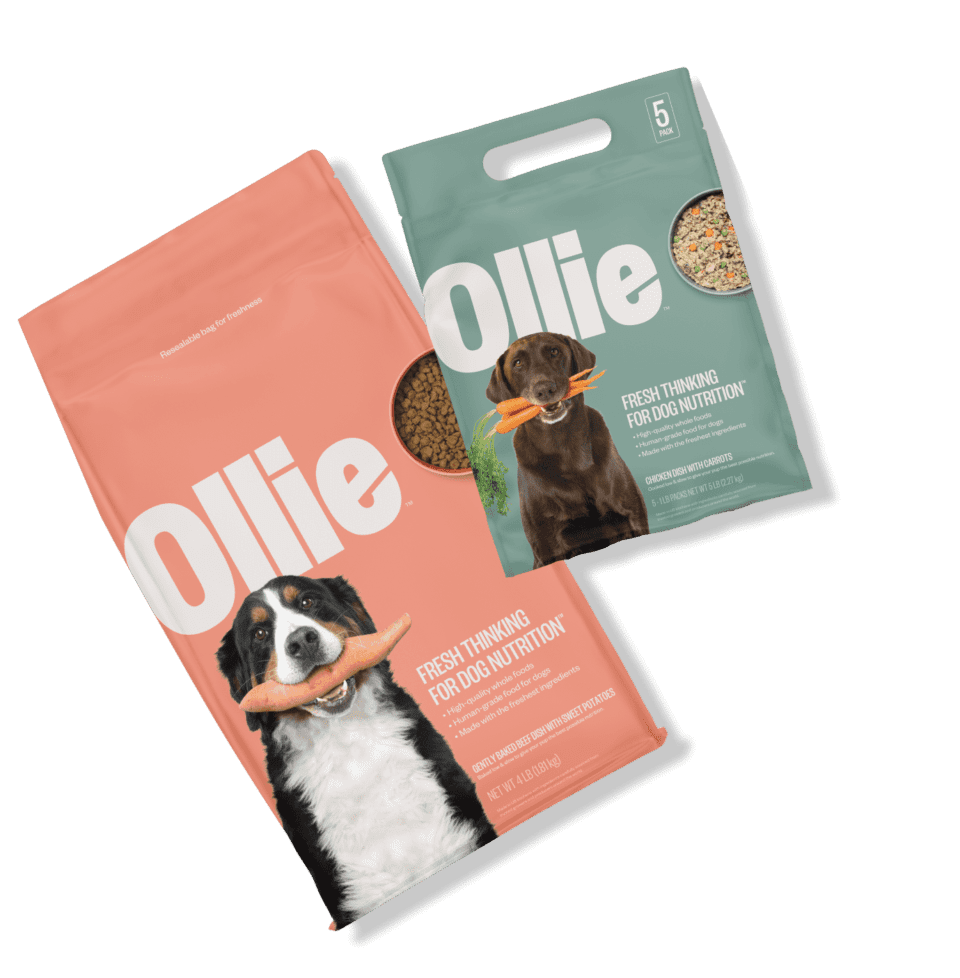 Brand Design Agency For Brands In The Pet Category Like Ollie