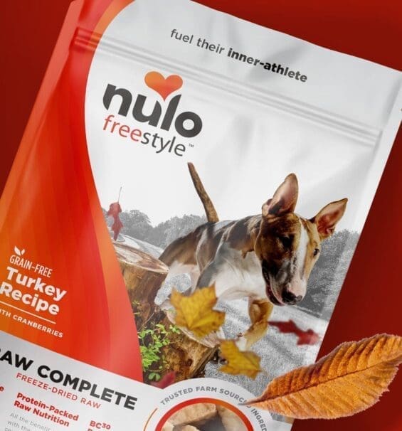 Nulo Case Study CTA Image