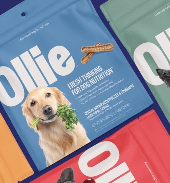 Ollie Case Study CTA Image