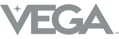 Vega Sports Packaging Design Case Study: Logo in grey