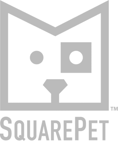 SquarePet Packaging Design Case Study: Logo in grey