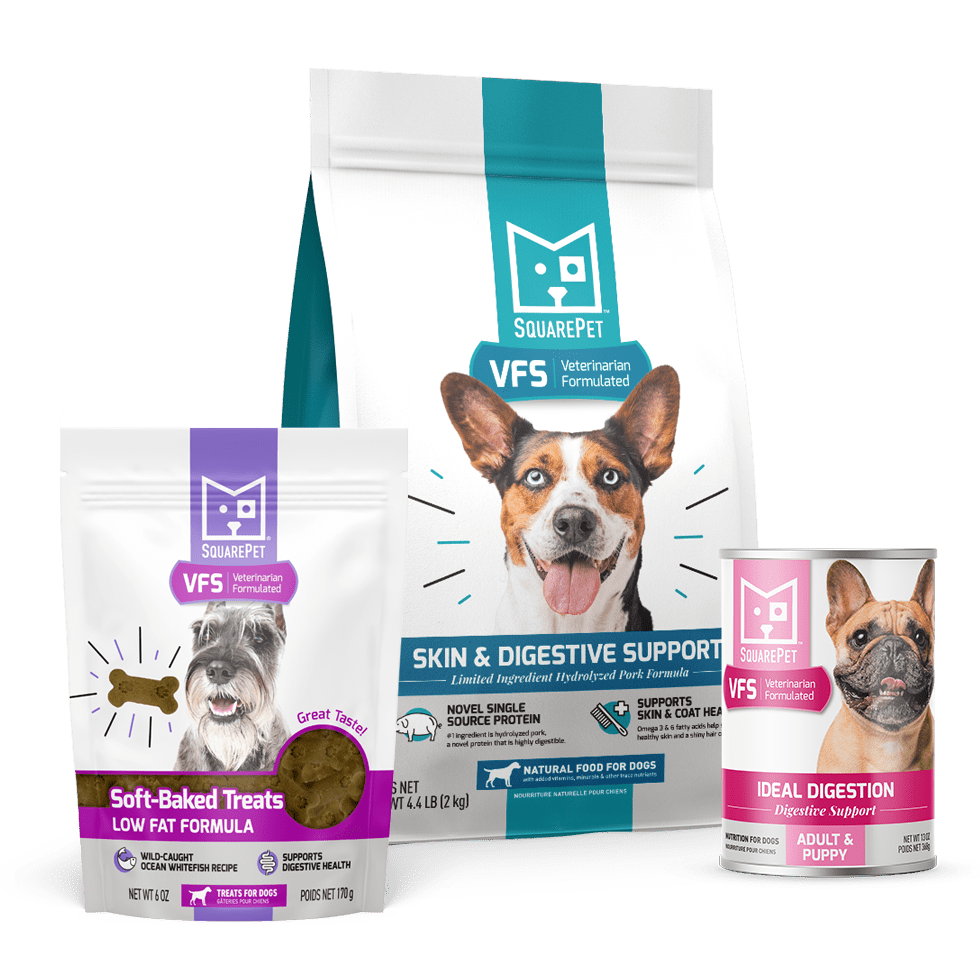 SquarePet Packaging Design Case Study: Packaging After