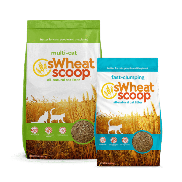 sWheat Scoop Packaging Design Case Study: Old Packaging for multi-cat and fast-clumping cat litter.